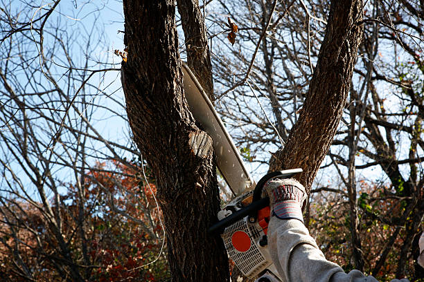 Best Soil Testing and Treatment  in Lykens, PA